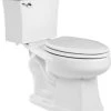 Buy 😍 PROFLO® Holyoke 1.28 gpf Elongated Two Piece Toilet in White ⭐
