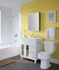 Brand new 🎉 PROFLO® Cassadore Toilet Tissue Holder in Polished Chrome 😉 -Cheap Proflo Shop Query 1041