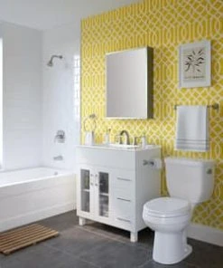 Buy ✨ PROFLO® Cassadore Toilet Tissue Holder in PVD Brushed Nickel 🎁 -Cheap Proflo Shop Query 1047