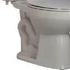 Discount 🧨 PROFLO® Calhoun 15-1/2 in. Elongated Toilet Bowl in White 😀