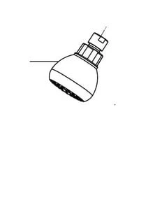 Top 10 ⭐ PROFLO® Showerhead in Oil Rubbed Bronze 🎁