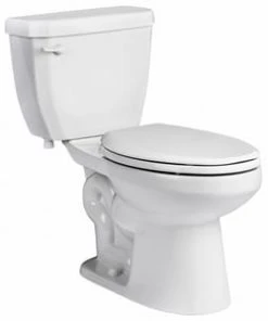 Flash Sale 🎉 PROFLO® Calhoun 1.28 gpf Elongated Two Piece Toilet in White (15-1/2 in. Bowl Height) ⌛