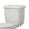 Best reviews of 🧨 PROFLO® Jerritt Series 1.0 gpf Two Piece and Tank Residential Toilet in White 😍