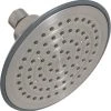 Best Sale ✨ PROFLO® Single Function Showerhead in Brushed Nickel 🥰