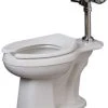 Wholesale ✨ PROFLO® 17-1/8 in. Elongated Flush Valve Toilet Bowl in White ✔️