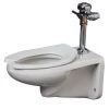 Discount ✔️ PROFLO® Elongated Siphon Jet Wall Mount Flush Vale Toilet Bowl in White 👍