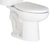 Flash Sale 🌟 PROFLO® Jerritt Series 1.6 gpf Elongated ADA Gravity Fed Toilet Bowl in White 🌟