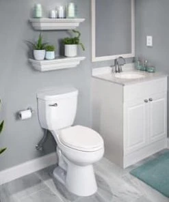 Budget 👏 PROFLO® Orrs Wall Mount Toilet Paper Holder in Polished Chrome ✨ -Cheap Proflo Shop Query 496