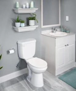 Budget 👏 PROFLO® Orrs Wall Mount Toilet Paper Holder in Polished Chrome ✨ -Cheap Proflo Shop Query 497