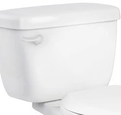 Budget ✔️ PROFLO® Jerritt Series 1.28 gpf Toilet Tank in White ✨