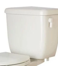 Promo ✨ PROFLO® Amador 1.6 gpf Dual Flush Toilet Tank in White 🎉