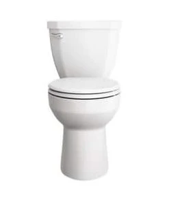 Brand new ⭐ PROFLO® Calhoun 1.28 gpf Elongated ADA Floor Mount Toilet Bowl in White ⌛ -Cheap Proflo Shop Query 614